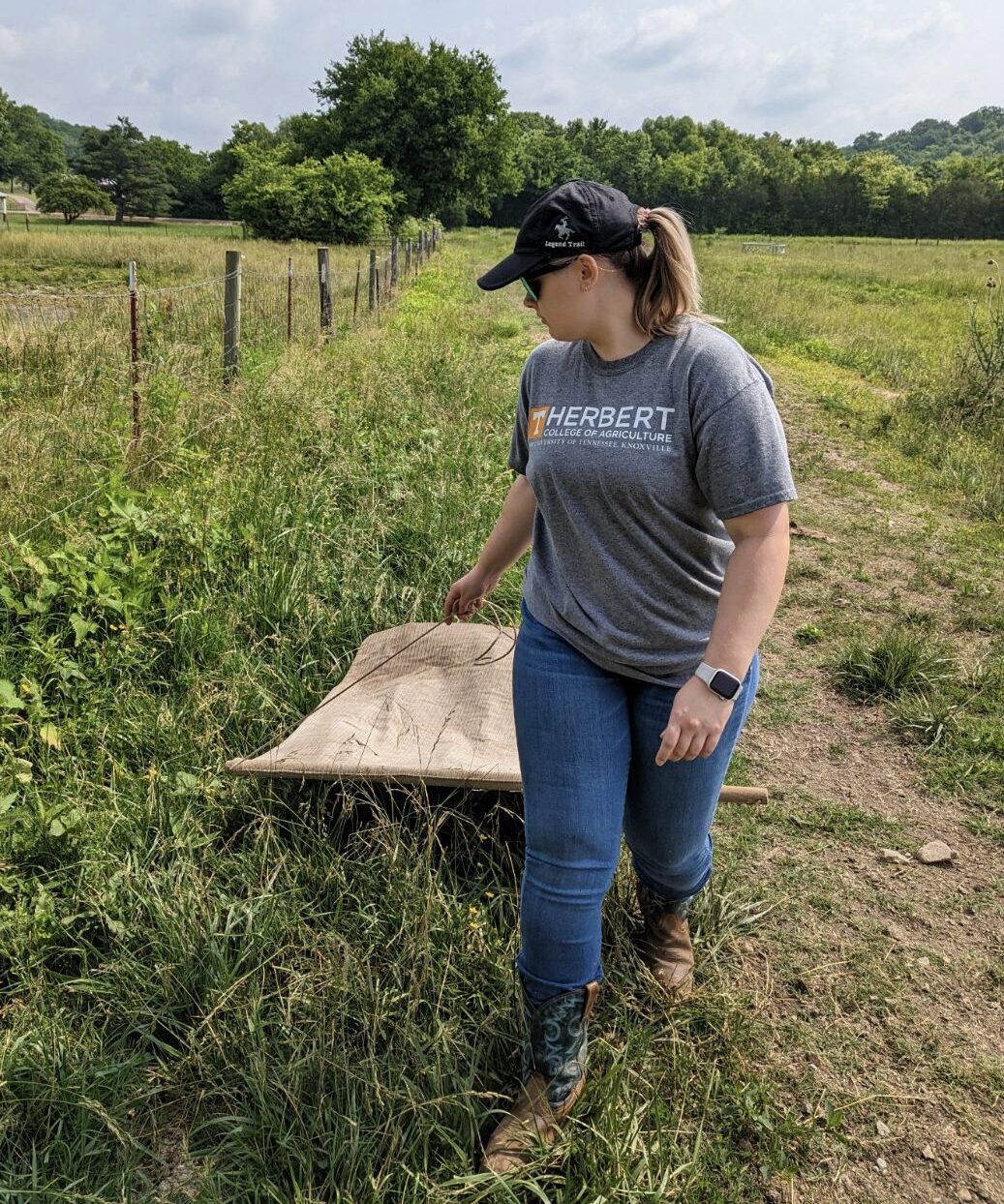 Researcher dragging a pasture for ticks 