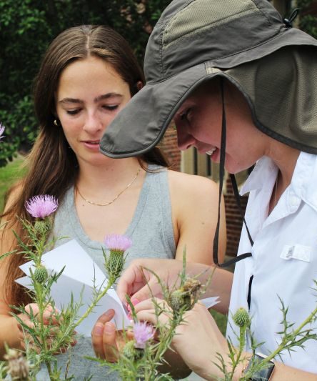 Students collecting pollen. 