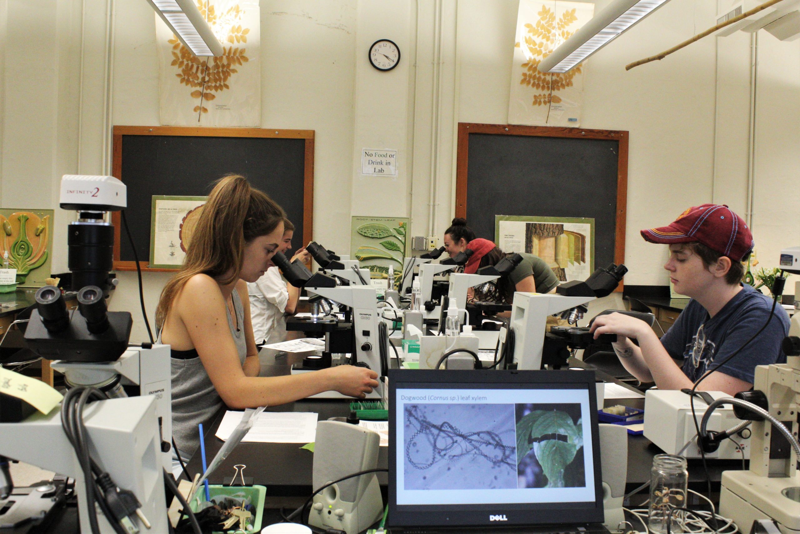 RESEARCH OPPORTUNITIES PROGRAMS AND EVENTS visual data 5